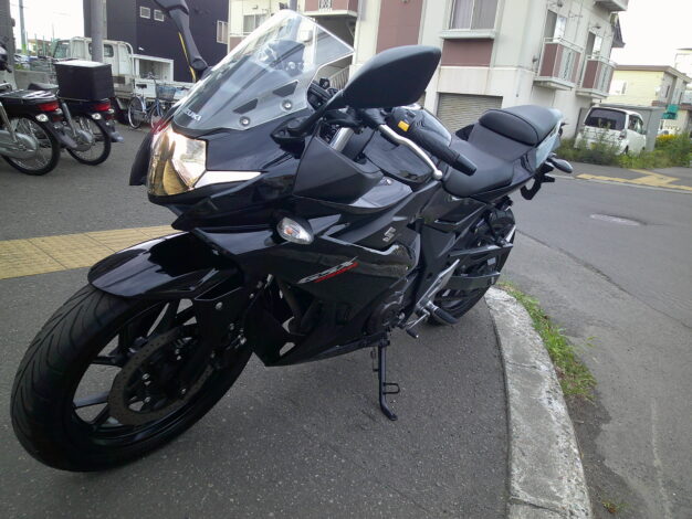 SUZUKI GSX250R ETC付 ピカピカ美車 - CRAZY-BOY's